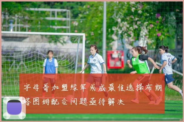 字母哥加盟绿军或成最佳选择布朗塔图姆配合问题亟待解决