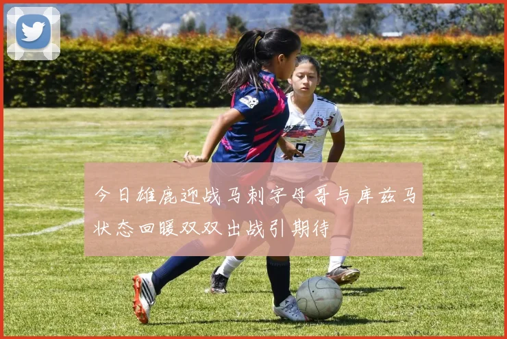 今日雄鹿迎战马刺字母哥与库兹马状态回暖双双出战引期待